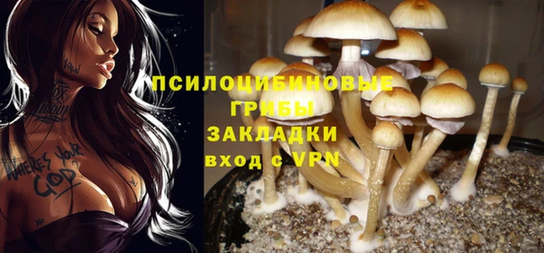 mdpv Дмитриев