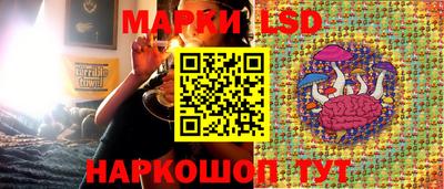 MDMA Premium VHQ Камышлов