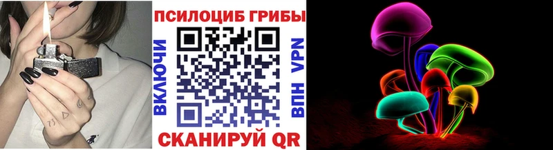 Псилоцибиновые грибы мицелий  Острогожск 